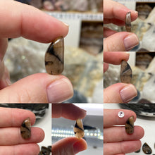 Load image into Gallery viewer, Andalusite / Chiastolite X-Small Cabochons