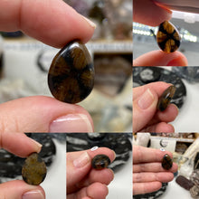Load image into Gallery viewer, Andalusite / Chiastolite Small Cabochons