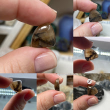 Load image into Gallery viewer, Andalusite / Chiastolite X-Small Cabochons