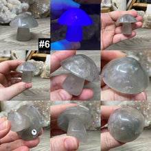 将图像加载到图库查看器中,Fluorite Mushroom #06