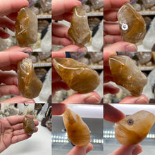 Bild in Galerie-Viewer laden, Amphibole Included Quartz X-Large Rough Tumbles