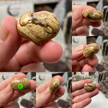 Bild in Galerie-Viewer laden, Picture Jasper Cartoon 1" Hearts