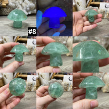 将图像加载到图库查看器中,Fluorite Mushroom #08