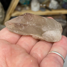 Load image into Gallery viewer, Lodolite Quartz Point #18