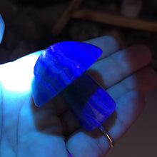 将图像加载到图库查看器中,Fluorite Mushroom #02