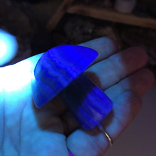 将图像加载到图库查看器中,Fluorite Mushroom #02