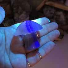 将图像加载到图库查看器中,Fluorite Mushroom #01