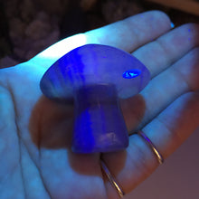 将图像加载到图库查看器中,Fluorite Mushroom #01
