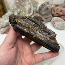 Bild in Galerie-Viewer laden, Black Tourmaline with Muscovite Rough #29