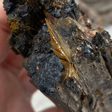 Bild in Galerie-Viewer laden, Black Tourmaline with Muscovite Rough #29