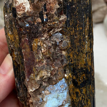 Bild in Galerie-Viewer laden, Black Tourmaline with Muscovite Rough #29