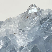 Bild in Galerie-Viewer laden, Celestite Rough Cluster #62