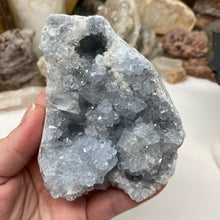 Bild in Galerie-Viewer laden, Celestite Rough Cluster #64