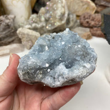 Bild in Galerie-Viewer laden, Celestite Rough Cluster #64