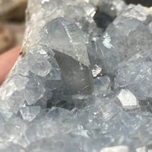 Bild in Galerie-Viewer laden, Celestite Rough Cluster #64