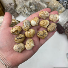 Bild in Galerie-Viewer laden, Picture Jasper Cartoon 1" Hearts