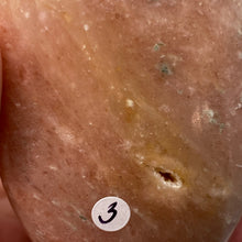 将图像加载到图库查看器中,Cipolin Palm Stone #03