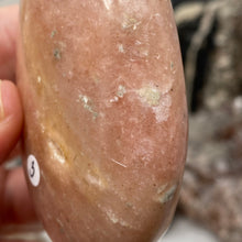 将图像加载到图库查看器中,Cipolin Palm Stone #03