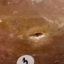 将图像加载到图库查看器中,Cipolin Palm Stone #03