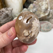 将图像加载到图库查看器中,Flower Agate Palm Stone #11