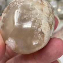 将图像加载到图库查看器中,Flower Agate Palm Stone #11