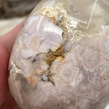 将图像加载到图库查看器中,Flower Agate Palm Stone #13