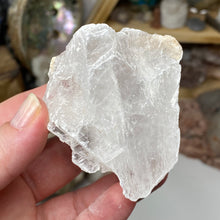 Chargez l'image dans la visionneuse de la galerie, Selenite Rough Set #11