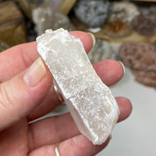 Chargez l'image dans la visionneuse de la galerie, Selenite Rough Set #11