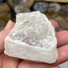 Chargez l'image dans la visionneuse de la galerie, Selenite Rough Set #11