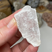 Chargez l'image dans la visionneuse de la galerie, Selenite Rough Set #11