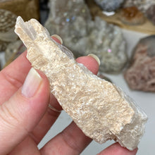 Chargez l'image dans la visionneuse de la galerie, Selenite Rough Set #12
