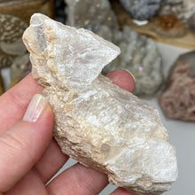 Chargez l'image dans la visionneuse de la galerie, Selenite Rough Set #12