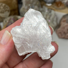 Chargez l'image dans la visionneuse de la galerie, Selenite Rough Set #12