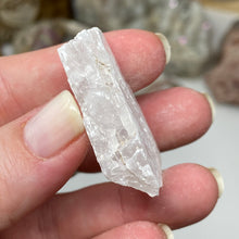 Chargez l'image dans la visionneuse de la galerie, Selenite Rough Set #12