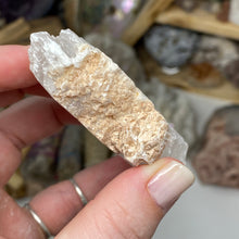 Chargez l'image dans la visionneuse de la galerie, Selenite Rough Set #14