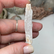 Chargez l'image dans la visionneuse de la galerie, Selenite Rough Set #15