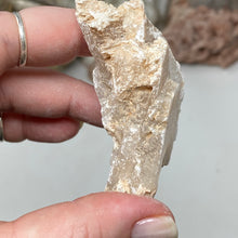Chargez l'image dans la visionneuse de la galerie, Selenite Rough Set #15