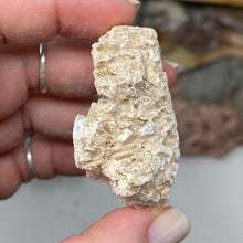 Chargez l'image dans la visionneuse de la galerie, Selenite Rough Set #16