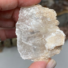 Chargez l'image dans la visionneuse de la galerie, Selenite Rough Set #16