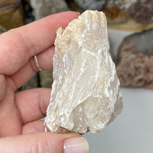 Chargez l'image dans la visionneuse de la galerie, Selenite Rough Set #16