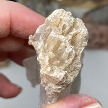 Chargez l'image dans la visionneuse de la galerie, Selenite Rough Set #16