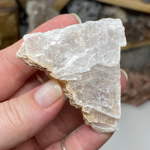 Chargez l'image dans la visionneuse de la galerie, Selenite Rough Set #18