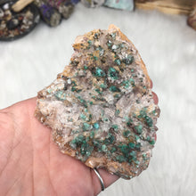 将图像加载到图库查看器中,Rosasite Cluster #6