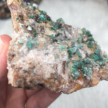 将图像加载到图库查看器中,Rosasite Cluster #6