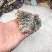 将图像加载到图库查看器中,Rosasite Cluster #6