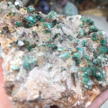 将图像加载到图库查看器中,Rosasite Cluster #6