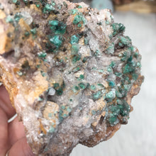 将图像加载到图库查看器中,Rosasite Cluster #6