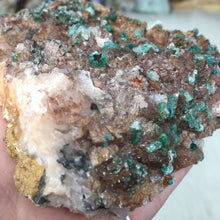 将图像加载到图库查看器中,Rosasite Cluster #7