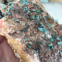 将图像加载到图库查看器中,Rosasite Cluster #7