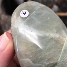 将图像加载到图库查看器中,Garnierite Palm Stone #14